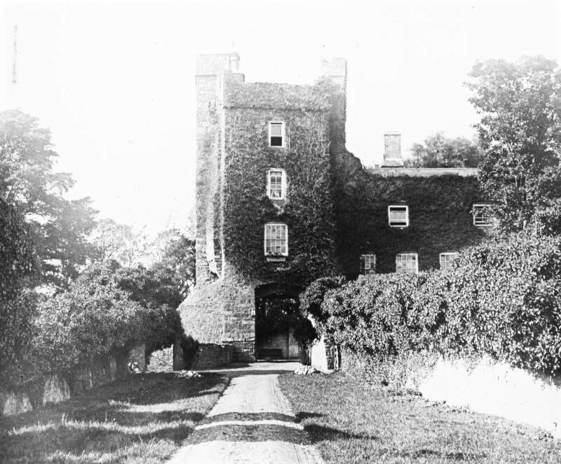 Drimnagh Castle. No/date? 1561.