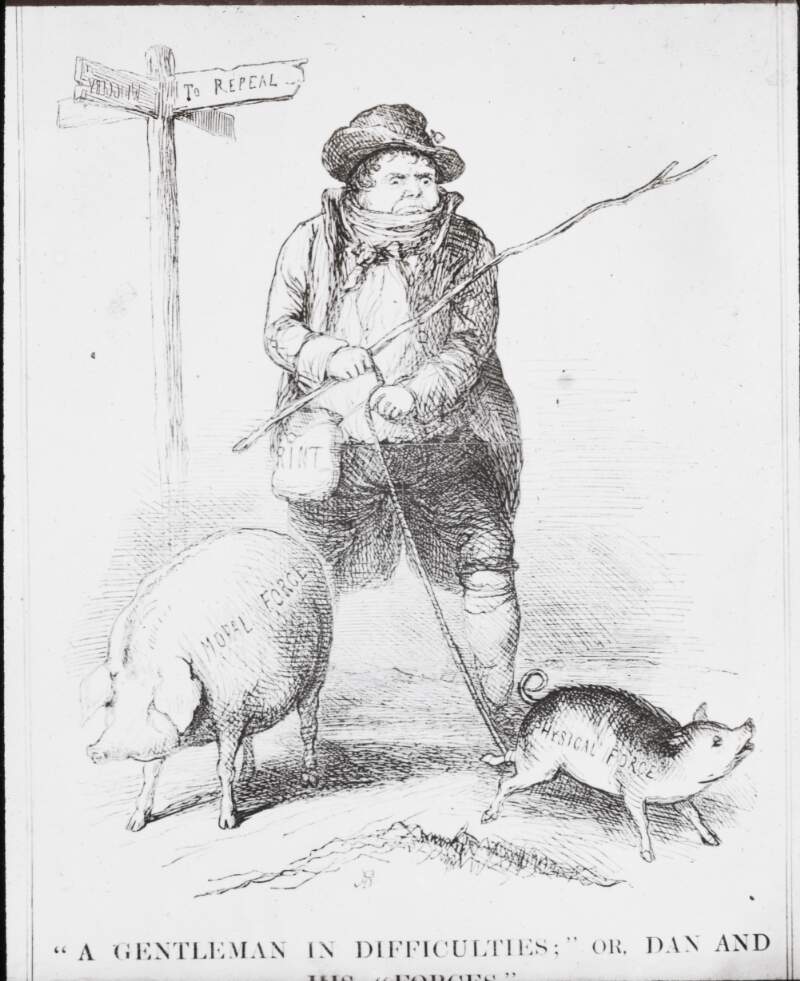 Repeat of caricature: pigs at crossroads, O'Connell.