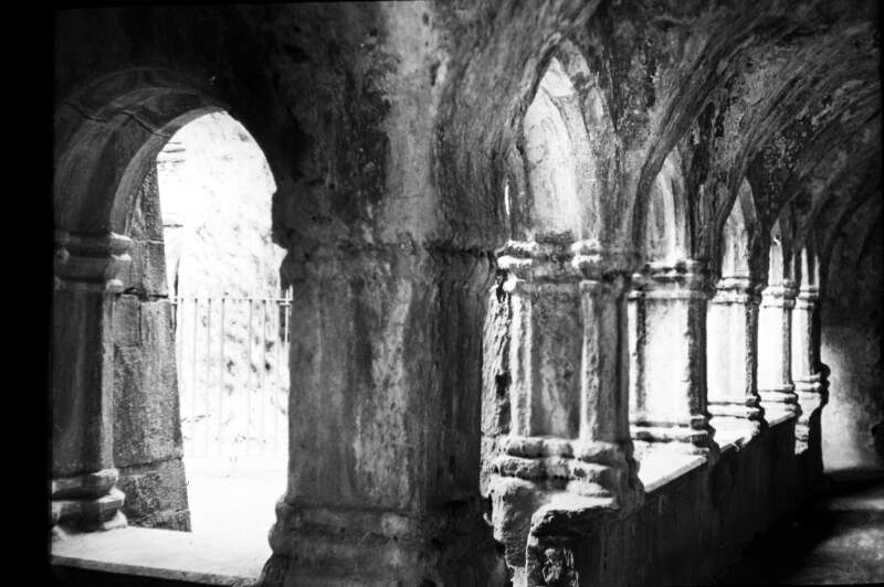 Muckross Abbey, the Cloisters.