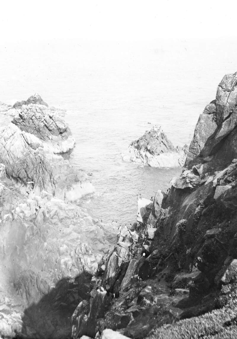 Saltees, from cliff, shore/rocks.