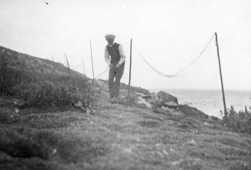 R.M. Barrington, setting nets at cliffs, Saltee Island 1912.