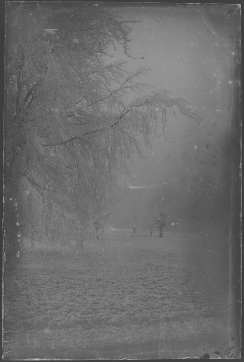 [1883, December 11. Bare trees, maybe snow scene.]