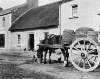 [Ahascragh with big cart. Horse drinking from bucket on town street. Thatched cottage with hens outside it in background. Horse attached to cart with large barrels.]