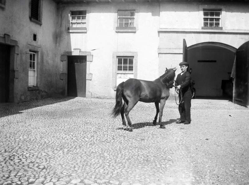[Flu and Tom. Man holding pony in cobbled yard enclosed by two storey buildings on both sides. Wider table style door visible in background.]