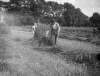 [Farmworkers in field making sheaves of wheat. Trees in distance, Clonbrock.]