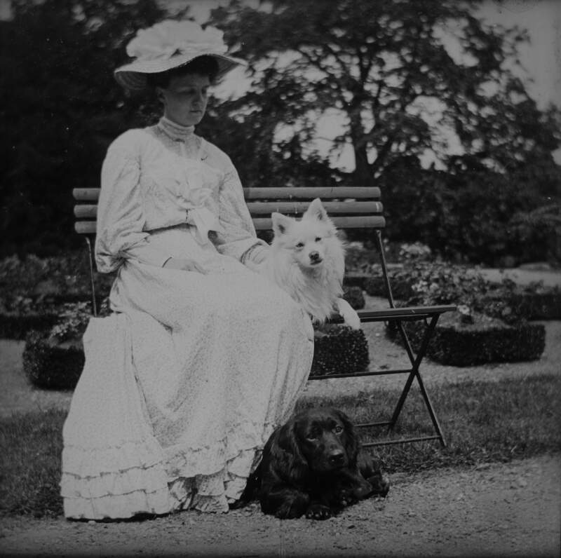 [E.D and dogs July 1904. Woman sitting on bench with white spaniel dog at her feet. Small shrubs and flower beds in the background. E.D is Edith Dillon or Ethel Dillon, she wears a floral dress with a straw hat with flowers. Negative Clonbrock 1040.]