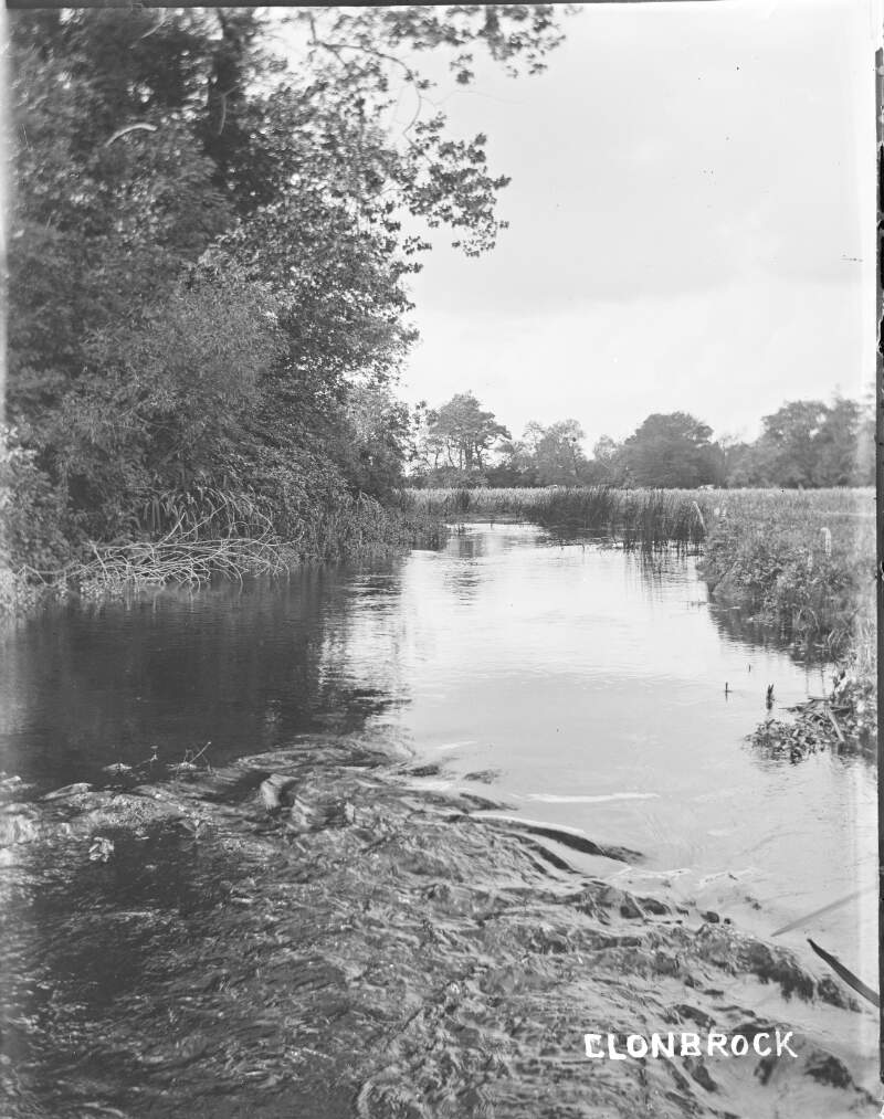[River, Water Meadow, Summer 1904. View of river with reeds and trees growing on the banks.]