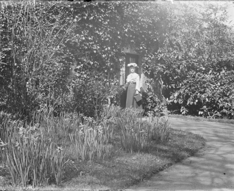 [Home river turret 1904. Woman standing by latticed doorway completely surrounded by creeper plant. Daffodils growing in clumps in foreground. Woman either Ethel (b1880) or Edith (b.1878) carries a box camera.]