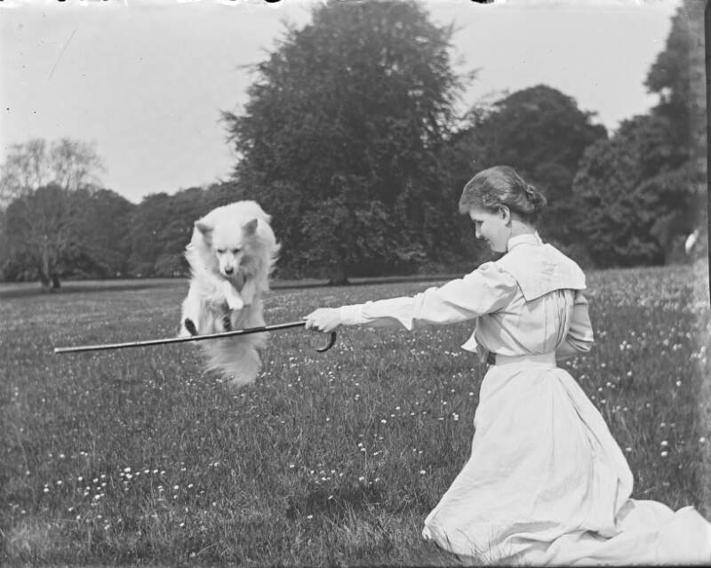 [Bobs jumping Aug/Sept 1903. Small dog jumping over walking stick held out by woman. Small flowers growing in fields which is surrounded by trees, similar to Clonbrock 787.]
