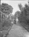 [Augusta Dillon with basket walking on garden path. Ivy covered turret in background, either side of path surrounded by tall flower beds, Clonbrock.]