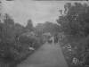 [Augusta Dillon standing on garden path with shaggy dog, flowers/garden of Clonbrock House.]