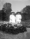 [Children 1914. Two toddlers, one boy and one girl wearing embroidered pinafores and large hats standing beside flower beds, possibly part of series taken at Mote Park.]