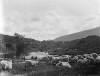 [Connemara 1903. Flock of sheep in mountainous landscape, stonewall, stream, wooded area and cloudy sky.]