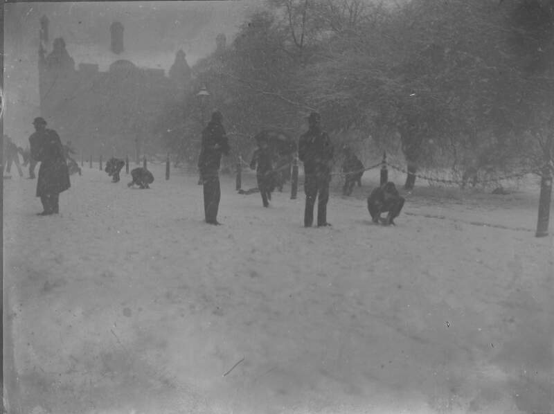 [Swiss 94 B. Oberland. Men standing on grass, some of the men are picking something up, possibly located at Trinity College, Dublin.]