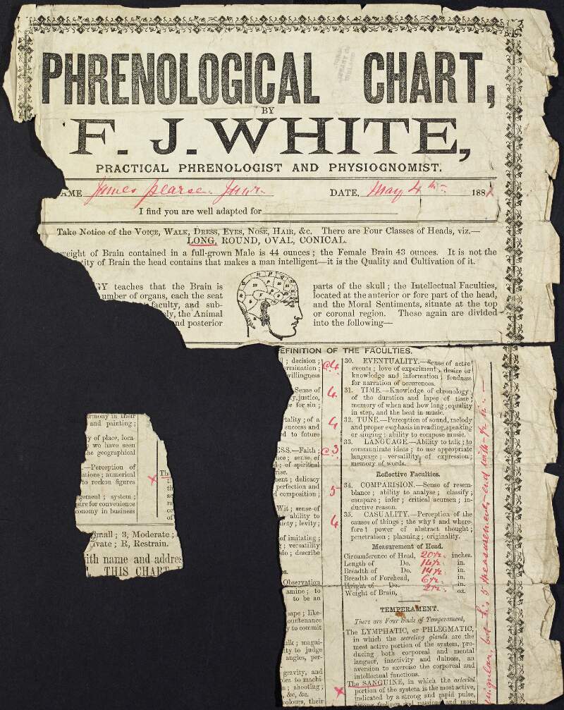 Fragment of phrenological chart by F.J. White, practical phrenologist and physiognomist, for James Pearse,
