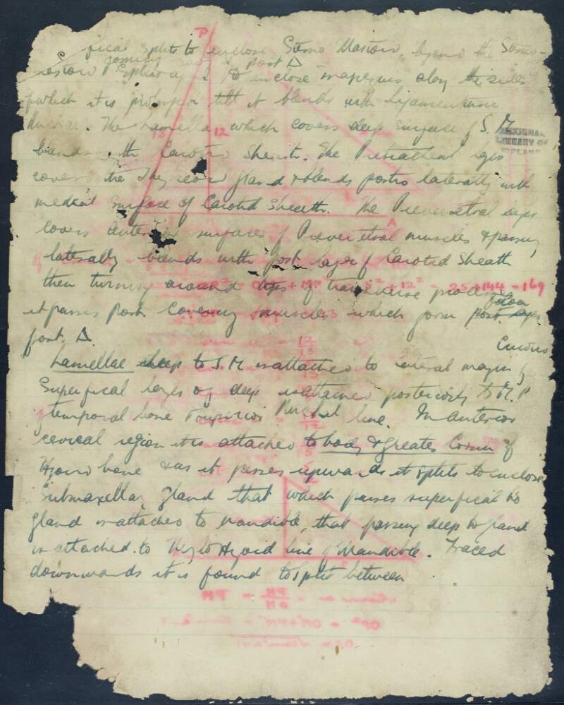 Anatomy and maths notes belonging to William Pearse,