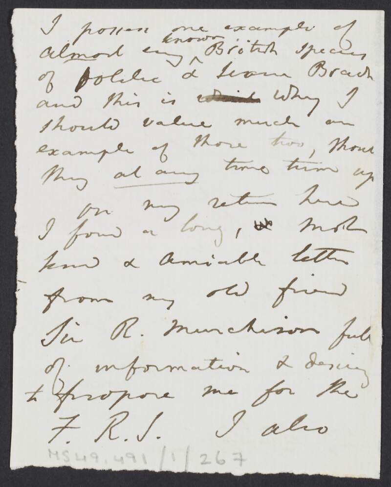 Letter from Thomas Davidson to unknown recipient, discussing a letter from an old friend Sir R. [Minchison?] who was "full of information",