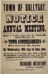 Town of Ballybay : notice of annual meeting  /