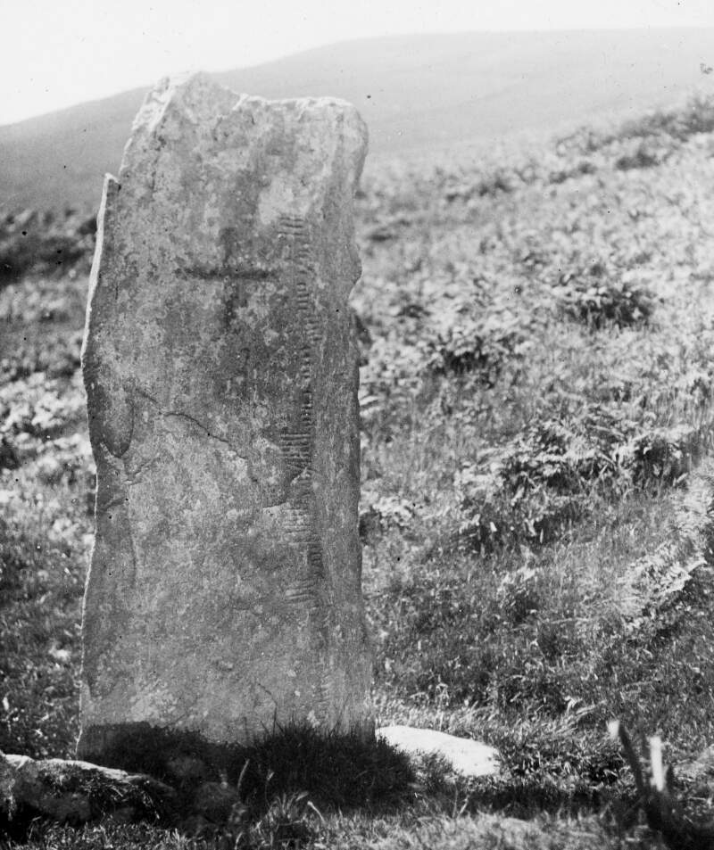 Ogham Stone, markings clear, Temple Monaghan.