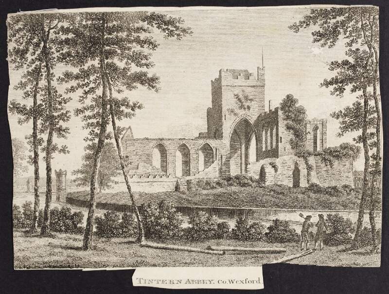 Tintern Abbey, Co. Wexford