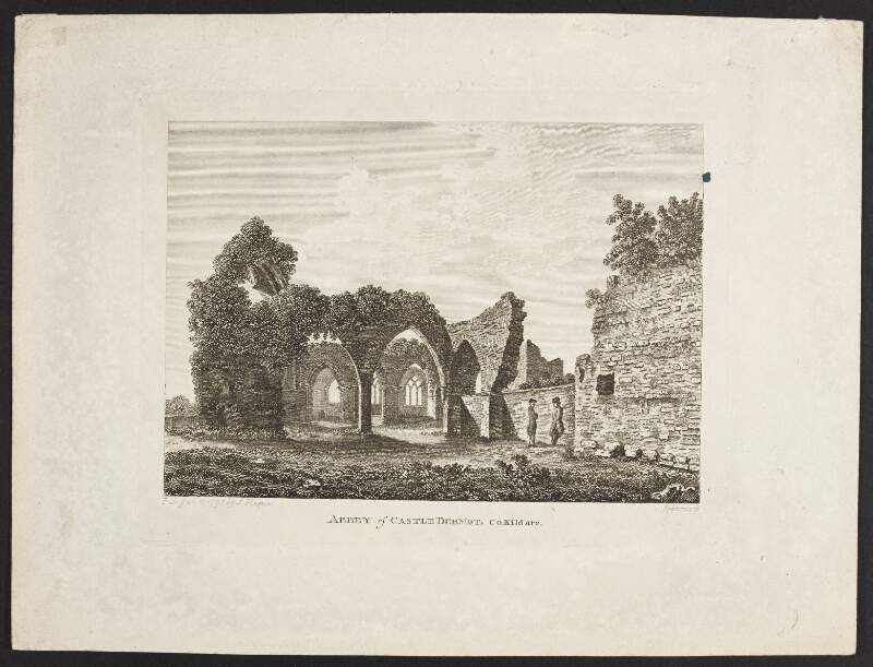 Abbey of Castle Dermot [sic], Co. Kildare