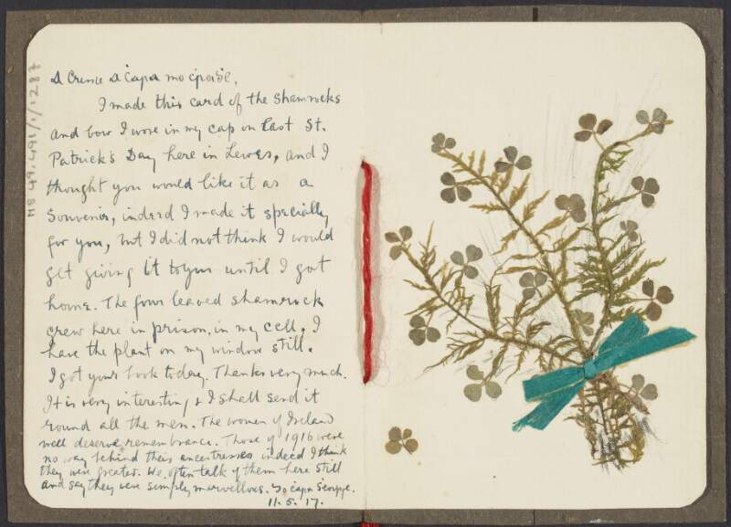 Card from George Irvine to [Crissie M. Doyle], concerning receiving a book, referring to those of 1916 as "simply marvellous" and informing he made the card with shamrocks which grew in his cell and that the bow was from his cap he wore on St. Patrick's Day,