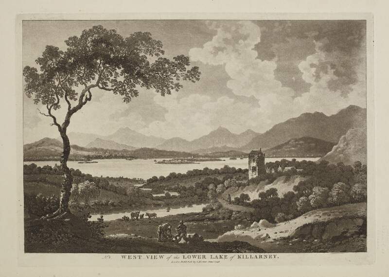 No. 5. West view of the Lower Lake of Killarney