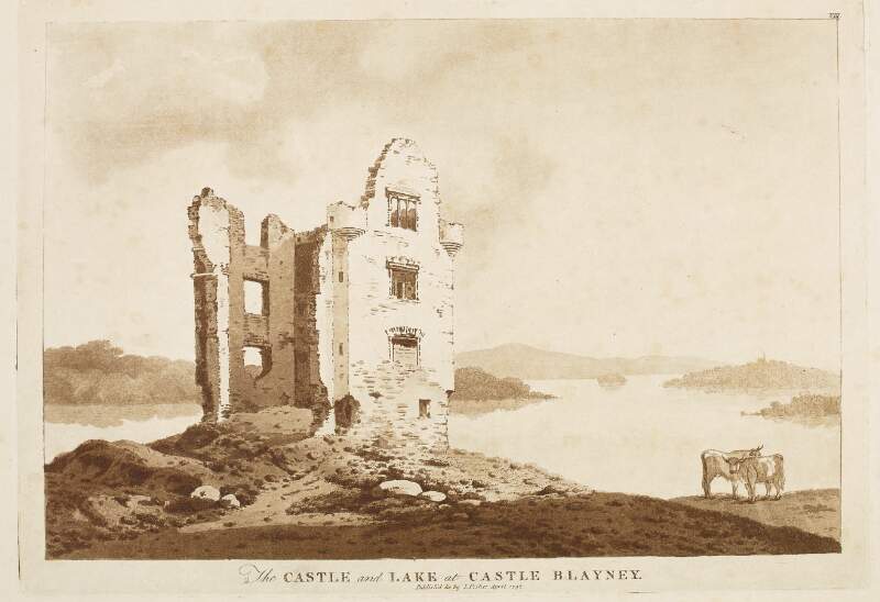 The castle and the lake at Castle Blayney