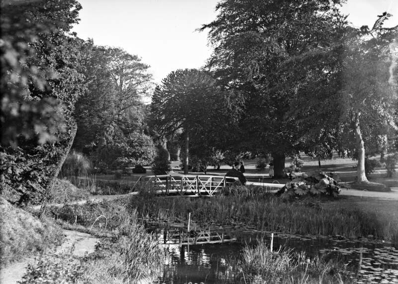 Footbridge in the Botanic Gardens, Glasnevin, Co. Dublin