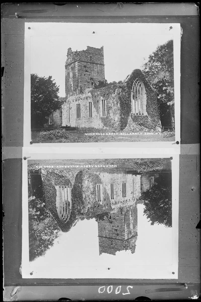 Muckross Abbey, Killarney, Co. Kerry
