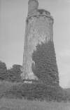 Ballyfin Tower.