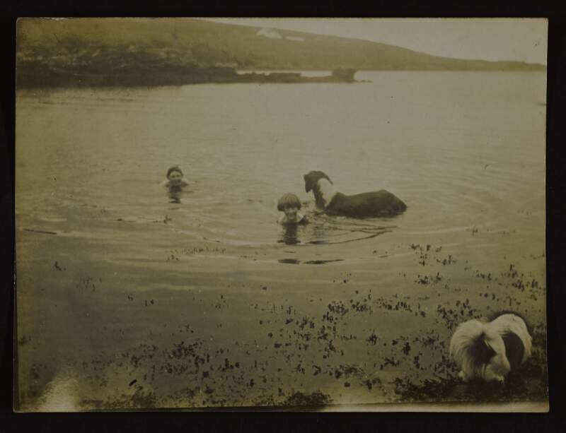 [Children and dogs swimming at seaside]