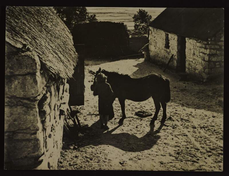 [Woman and donkey outside farm stables]