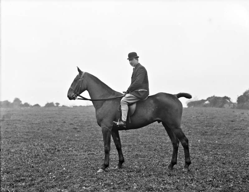 Mr. T.J. Widger, Yellow Road, Waterford, on horse.