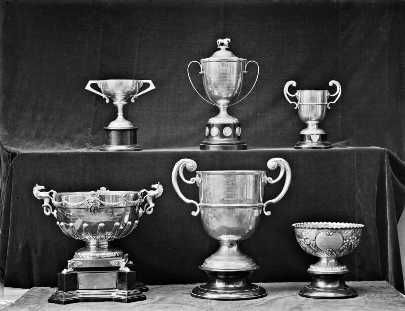 Agricultural Society's Challenge Cups.