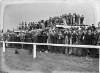 Grand National at Aintree, crowds watching the race