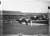 Grand National at Aintree, the race in progress