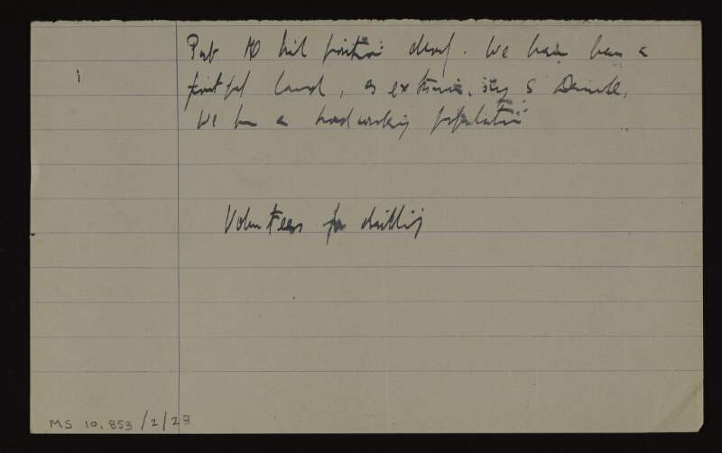 Short manuscript note reading "Pub [sic] the Irish position abroad. We have been a fruitful land, as extensive say as Denmark, we have a hardworking population. Volunteers for drilling",