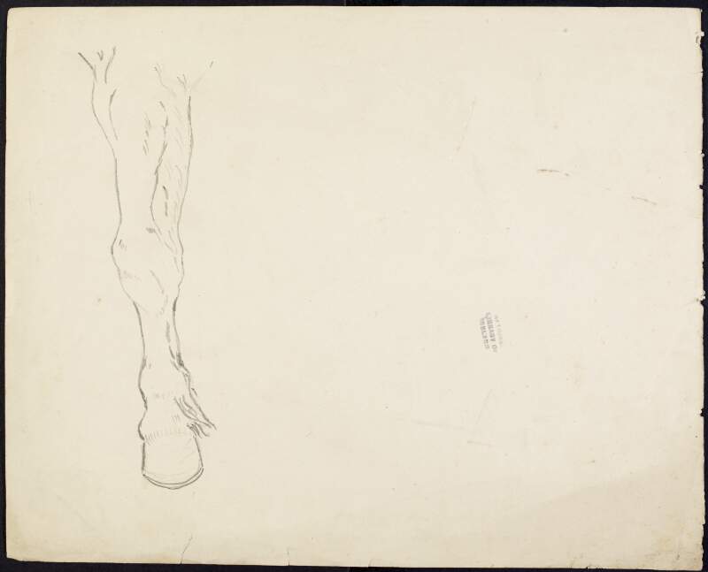 [Sketch of horse's leg]