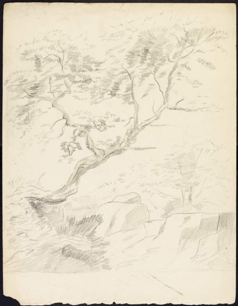 [Sketch of a tree in a rural landscape]