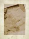 [Photograph of loose stone]