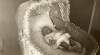 [Billie Carson at 2 months, in moses basket]