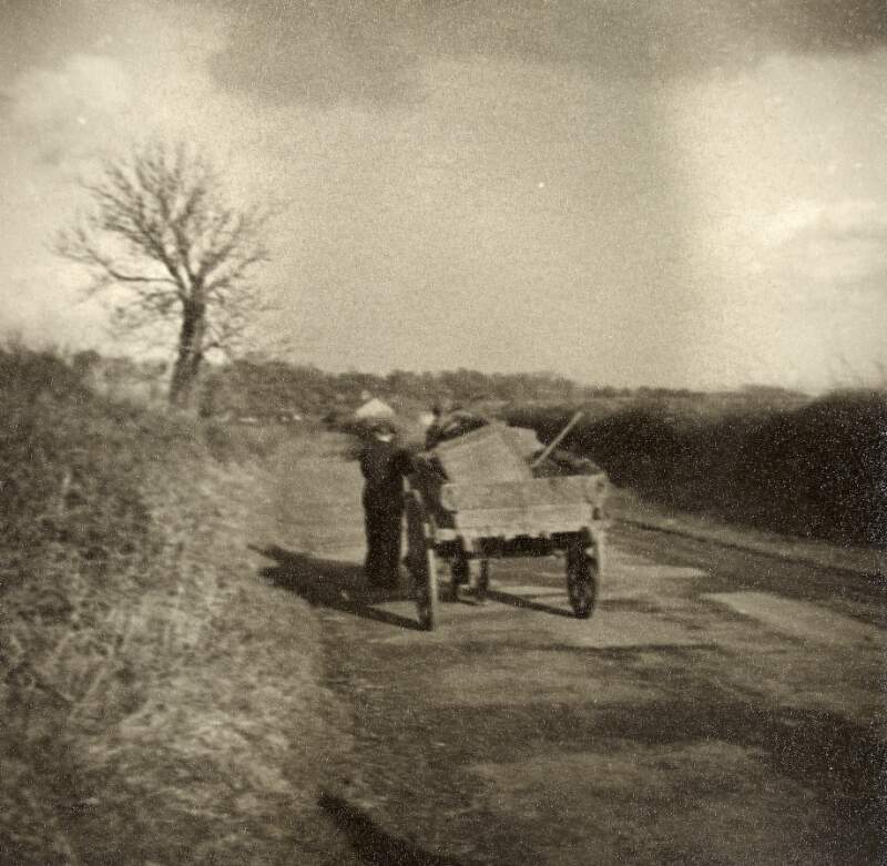 [Man leading horse and cart, taken in Enniskerry Co. Wicklow, facing away from camera,]