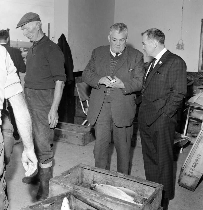 [Men inspecting fish indoors, Burtonport, Co. Donegal]