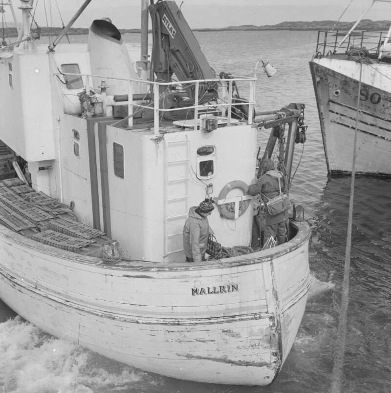[Anglers on boat named the 'Mallrin', offshore near Burtonport, Co. Donegal]