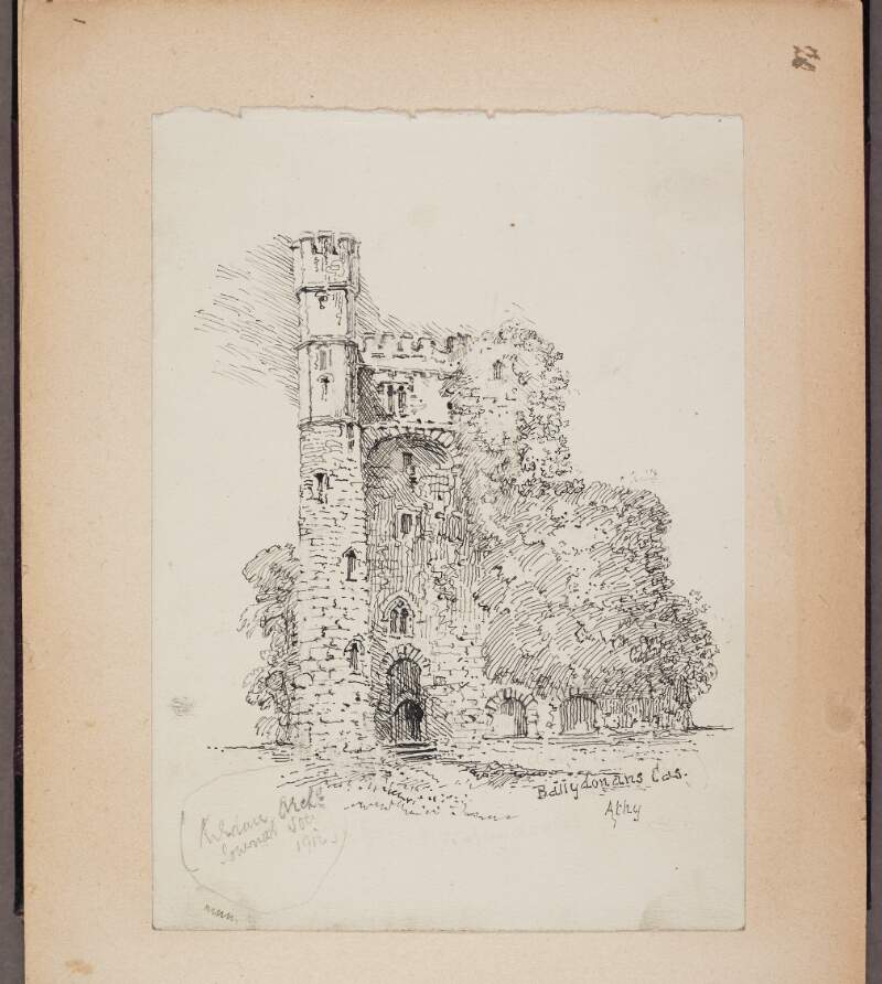 Ballydonans Castle, Athy