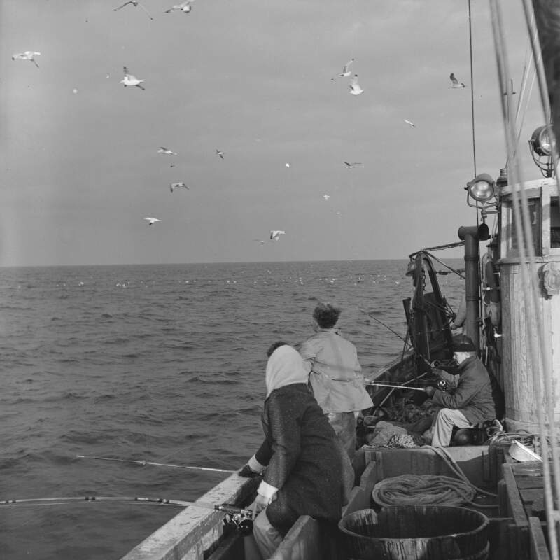 [Anglers fishing on boat near Killybegs, Co. Donegal]