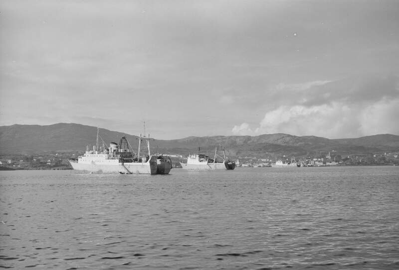 [Factory ships, Killybegs harbour, Co. Donegal]