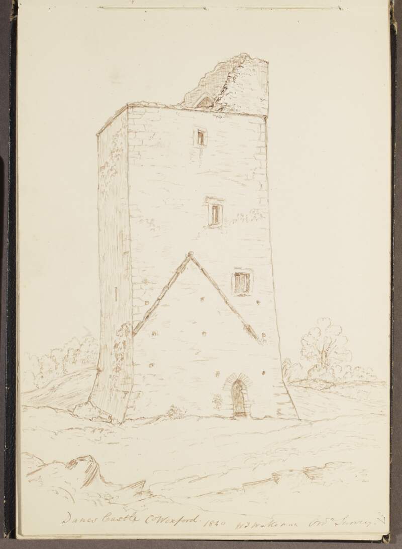 Danes Castle, County Wexford, 1840