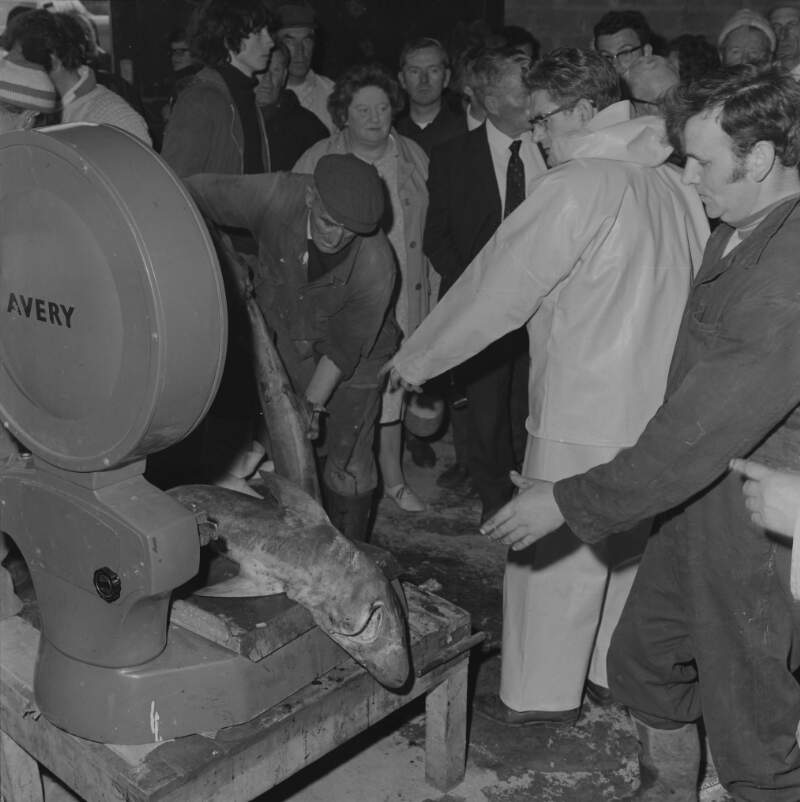 [Fish being weighed in crowded fish market during Rathmullan fishing festival, Co. Donegal]